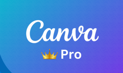 الصورة المصغرة للدورة