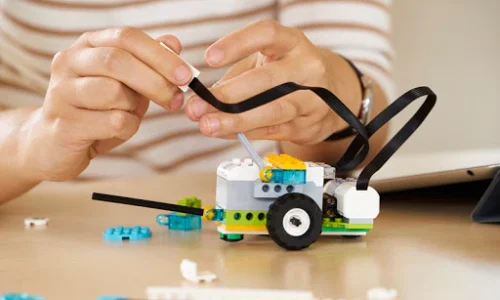 الصورة المصغرة للدورة